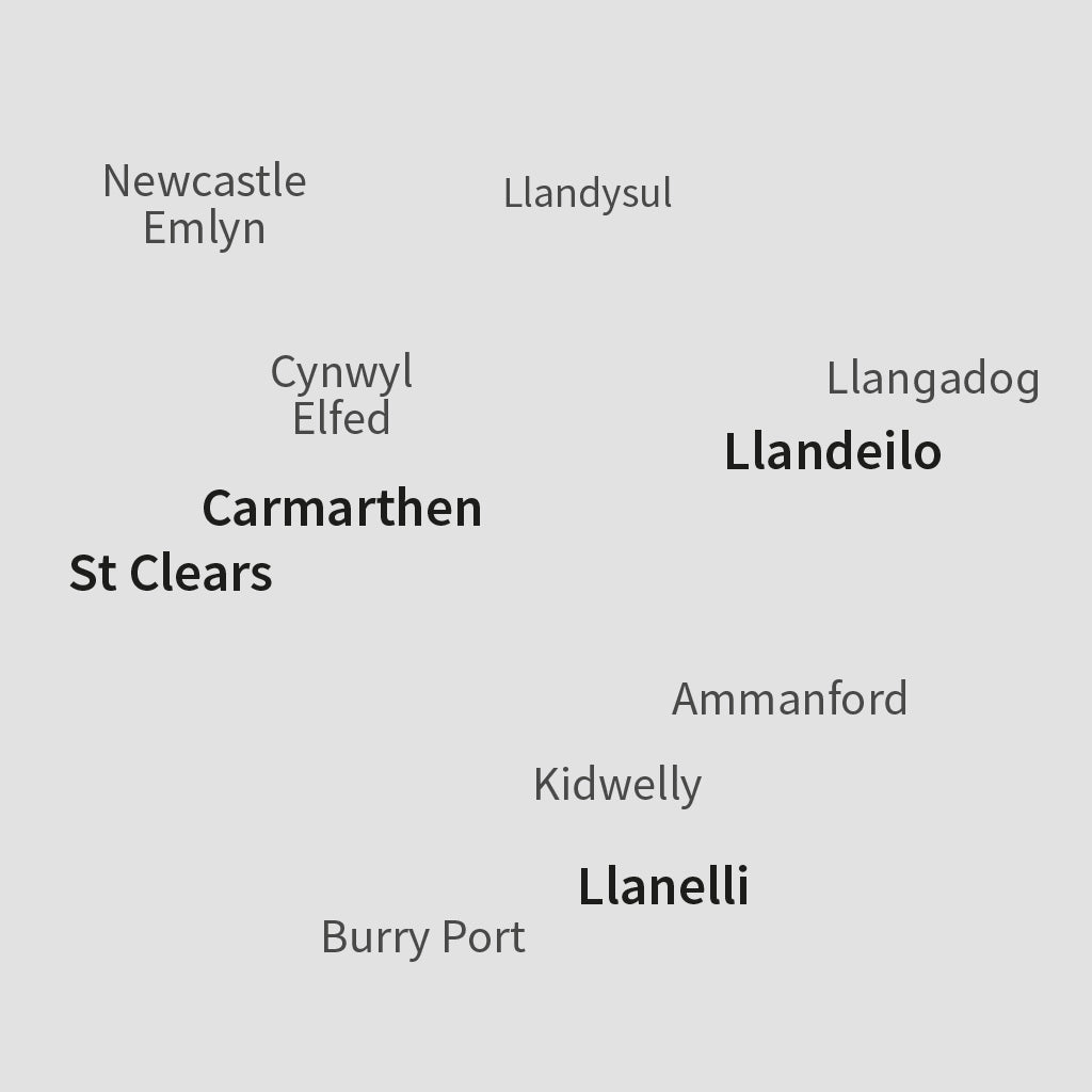 Carmarthenshire Family PACMAT Picnic Blanket